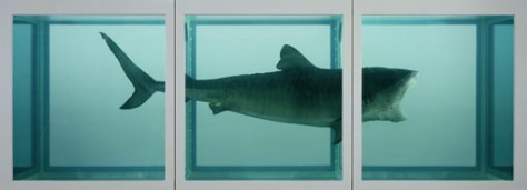 de beroemde haai op sterk water van Damien Hirst